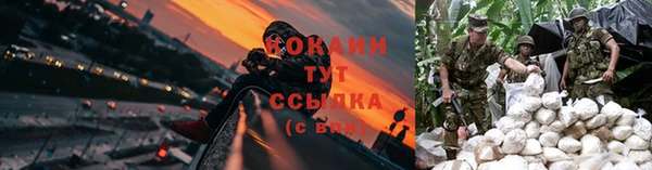 амф Абаза