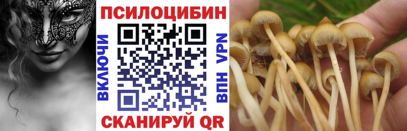 наркота  Шали  blacksprut ссылка  Галлюциногенные грибы Cubensis 