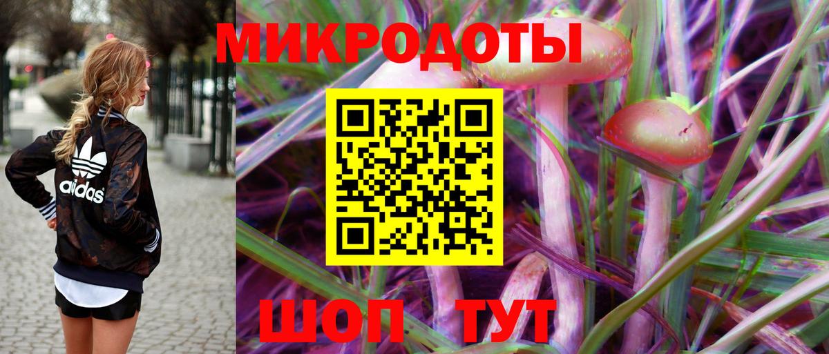 Псилоцибиновые грибы прущие грибы  Вход с VPN  Шали 