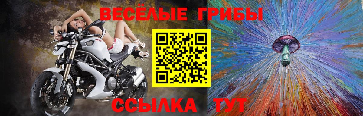 Псилоцибиновые грибы Psilocybine cubensis Шали